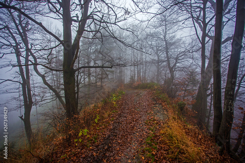 Beskid Wyspowy - Góry Karpaty