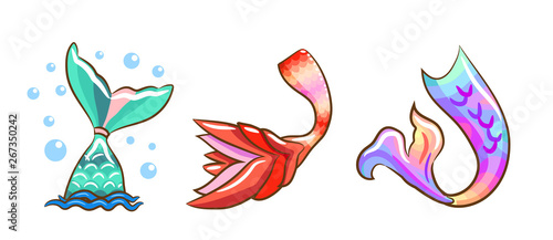 mermaid tail vector cartoon clipart design
