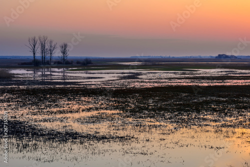 Biebrza Valley  Poland . Sunset over the meadows.