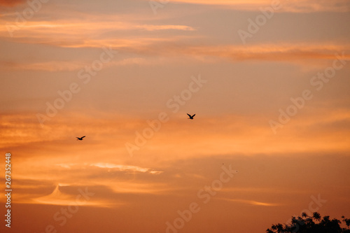 sunset in the sky © Shiv Mer