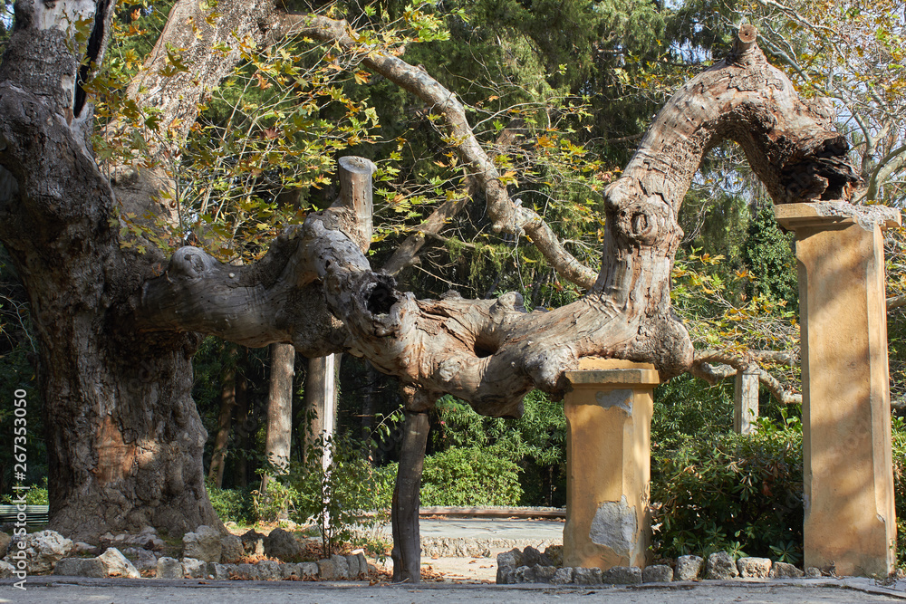 Rodini Park - historic park along a waterway with beautiful shaded walking paths, Rodos, Greece