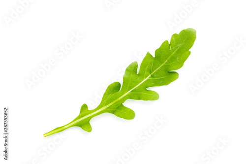 Arugula. Eruca Sativa. Arugula leaf isolated on white background