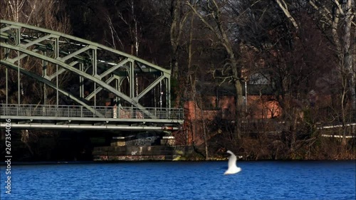 Eiswerder bridge between Havel River west shore and Eiswerder Island in Berlin Spandau from December 19, 2015, Germany photo