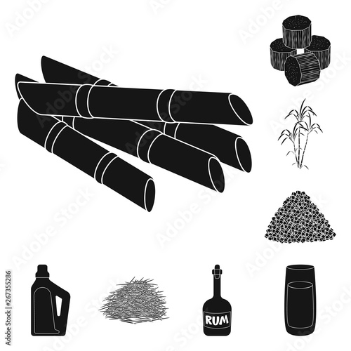 Vector illustration of sucrose and technology sign. Collection of sucrose and cane stock symbol for web.