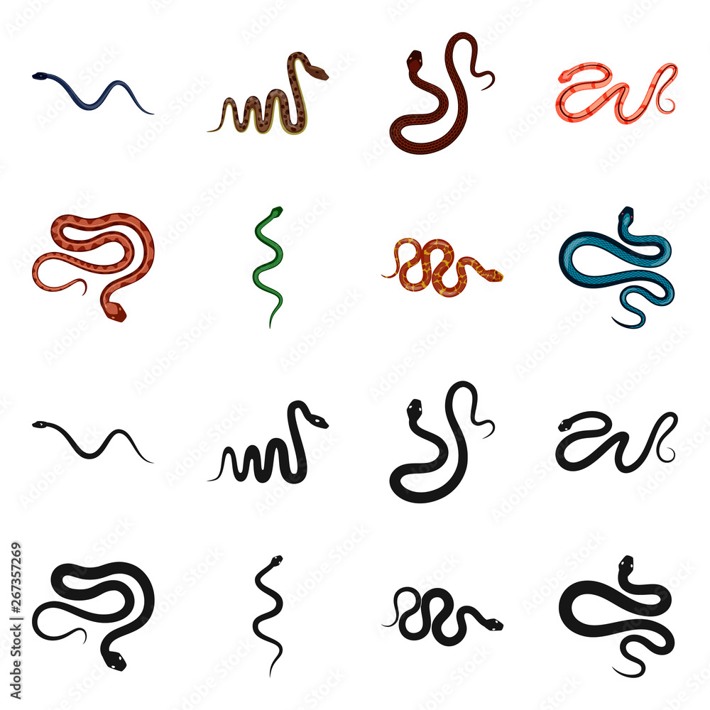 Vector illustration of mammal and danger symbol. Collection of mammal and medicine vector icon for stock. Vector illustration of mammal and danger symbol. Collection of mammal and medicine vector icon for stock.