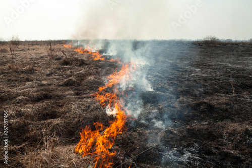 Big fire in the field.