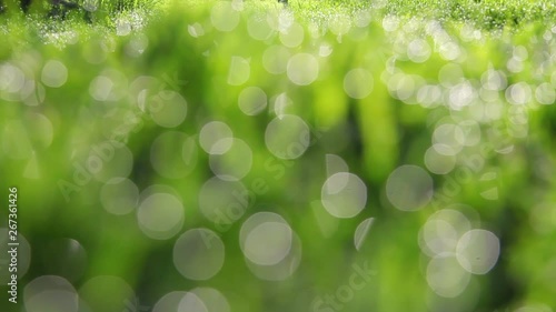 Green grass with dew drops in defocus. Wiring