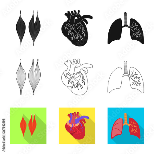 Vector illustration of biology and scientific sign. Set of biology and laboratory stock symbol for web.
