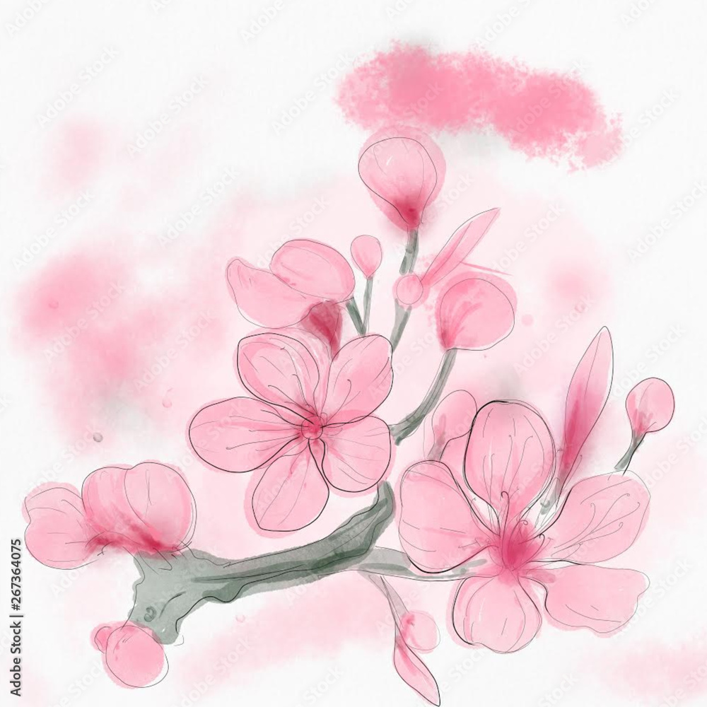 Pink pastel sakura flower for summer card background, watercolor drawing technique