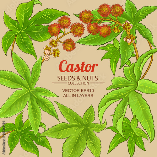 castor vector frame