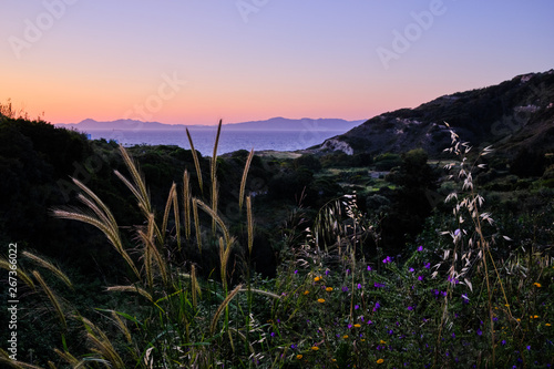 Straws in the foreground with a green valley in the middle ground and sea and mountains in the background at sunset