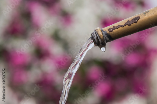 Wasserspiel vor verschwommenen Blüten