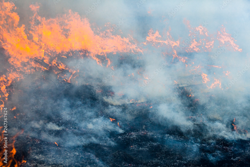 Big fire in the field.