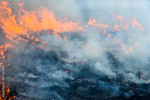 Big fire in the field.