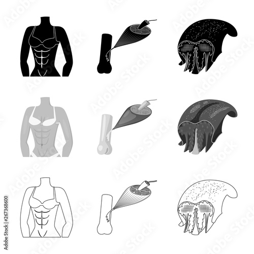 Vector design of fiber and muscular symbol. Set of fiber and body  stock symbol for web.