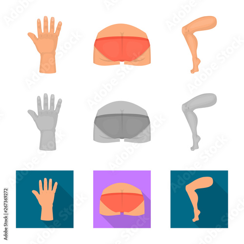 Vector illustration of body and part logo. Collection of body and anatomy vector icon for stock.