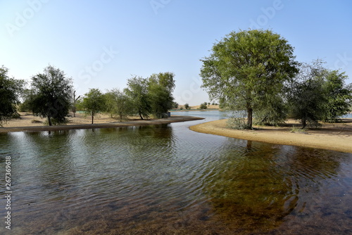 Landscape from al qudra lakes at the day, Dubai, United Arab Emirates photo