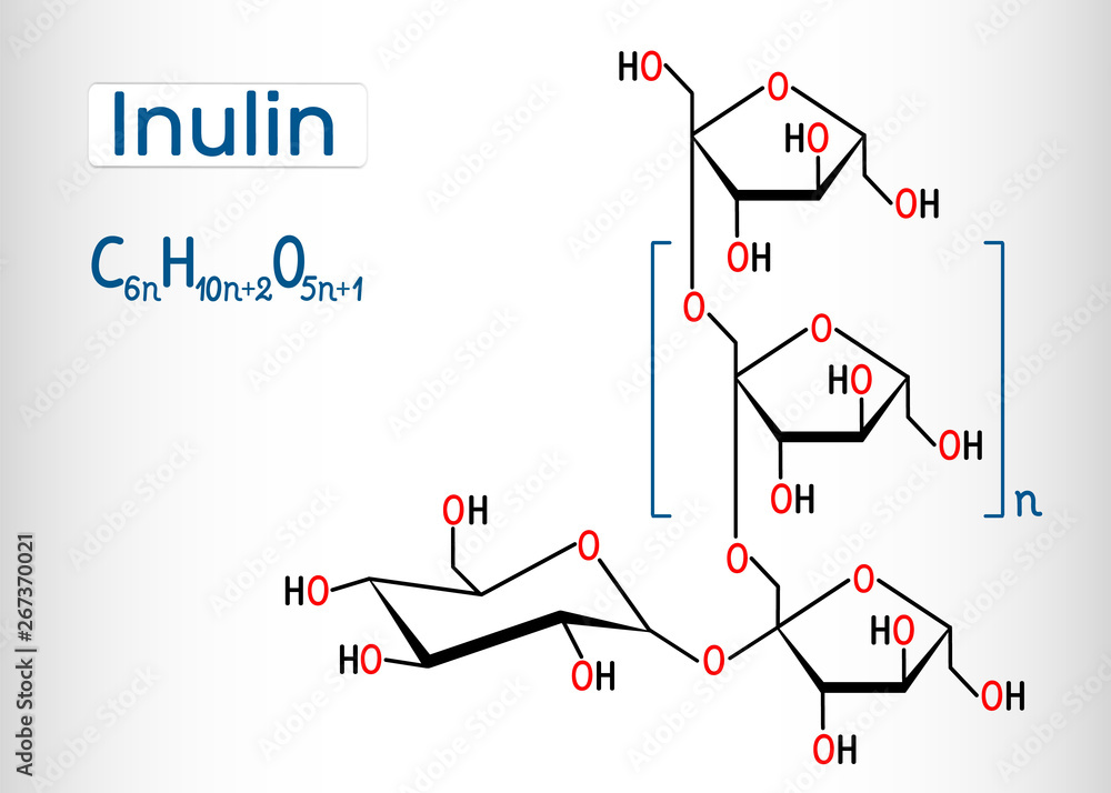Inulin molecule. Structural chemical formula and molecule model