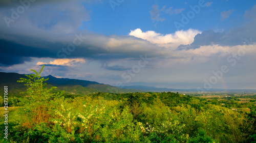 Evening storm in the vineyards © zakaz86