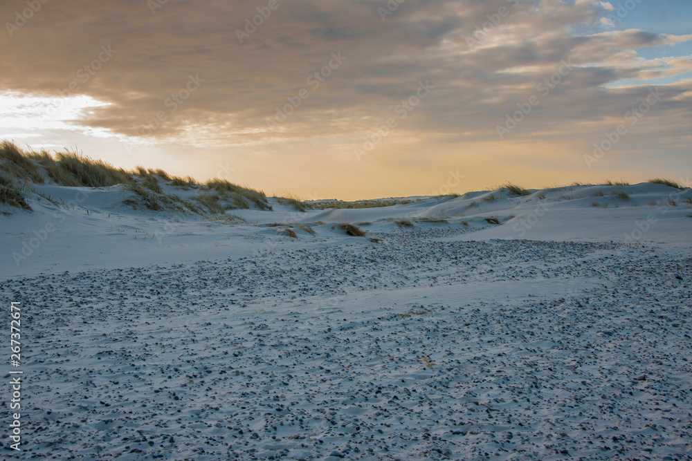 Fototapeta premium Sandy beach next to Skagen in Denmark