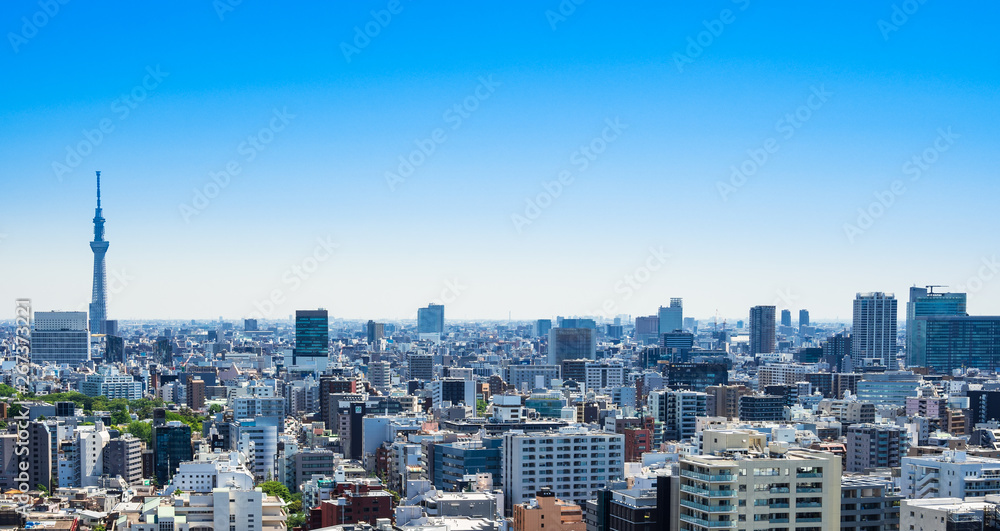 東京スカイツリーと都市風景　ワイド