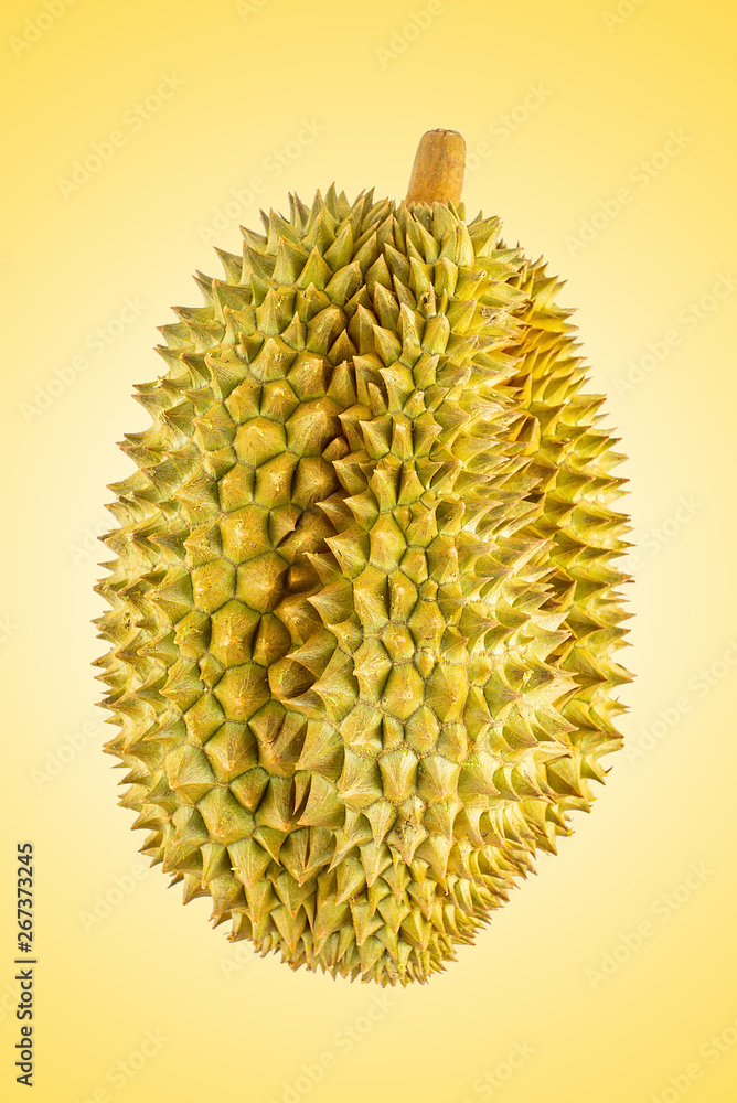 A durian promotional poster design background material A durian promotional poster design background material