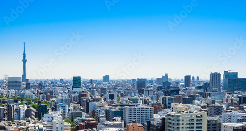 東京スカイツリーと都市風景 ワイド