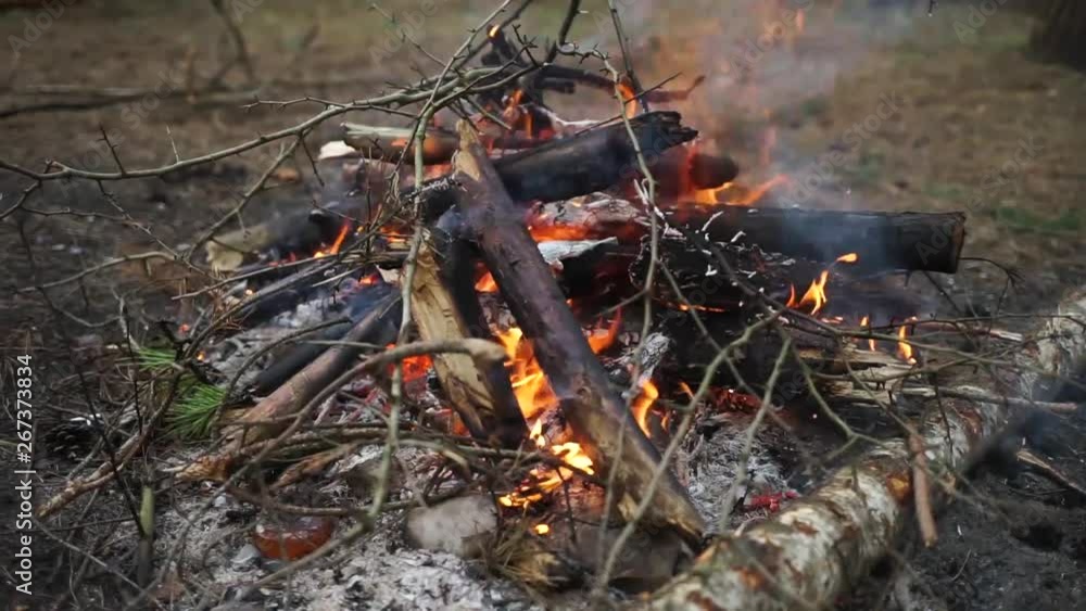 Fire burns in the woods. Big fire. Fire burns in the woods. Big fire.