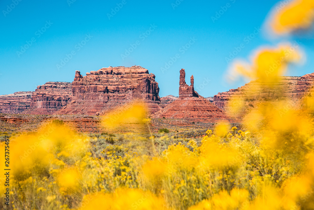 Valley of the Gods, Utah, USA