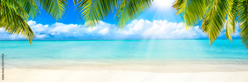 Strand Panorama mit Palmen und Sonne als Hintergrund