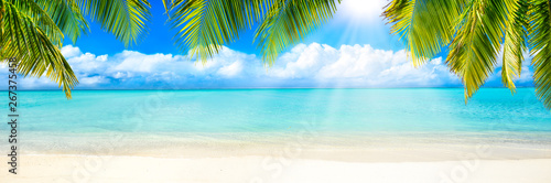 Strand Panorama mit Palmen und Sonne als Hintergrund © eyetronic