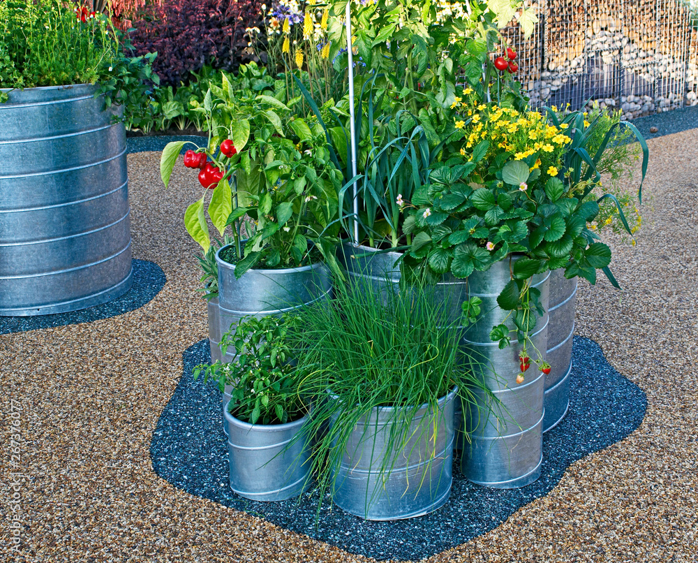 Vegetables, herbs and fruit growing in a modern metal container on a