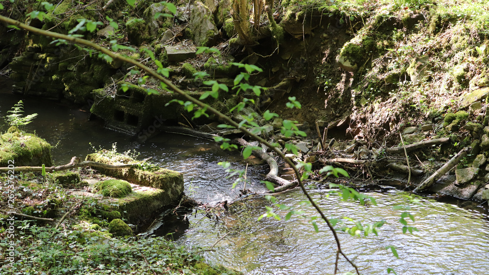 Promenons-nous dans les bois près de la rivière Promenons-nous dans les bois près de la rivière