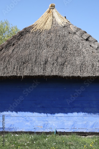 Turkusowa chata pokryta strzechą