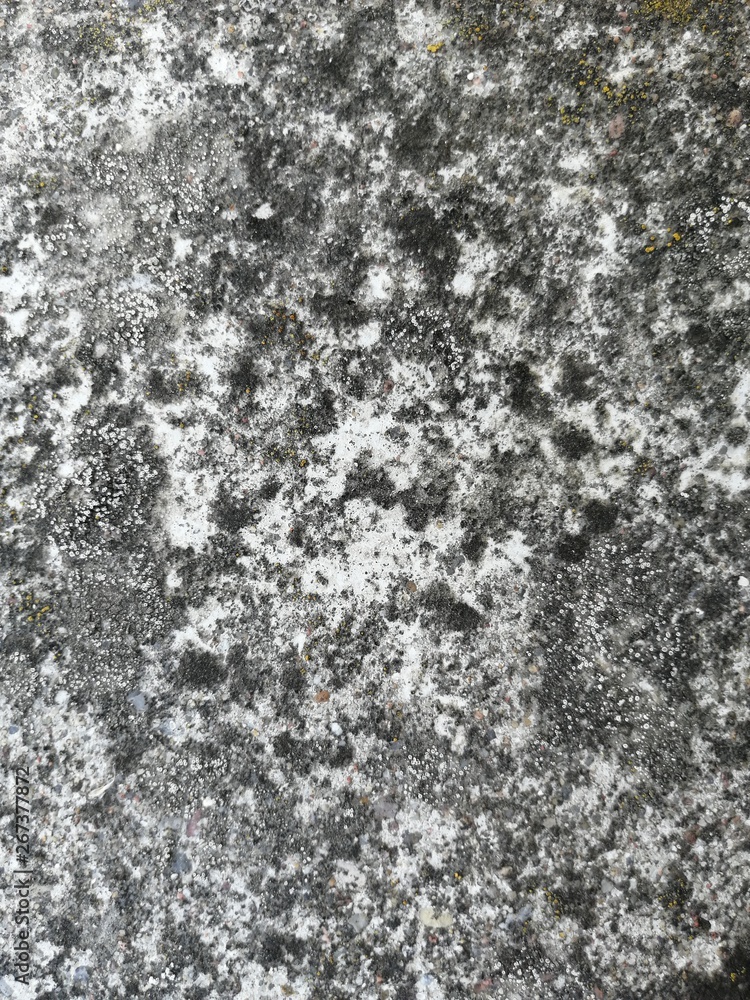 tekstura stary beton