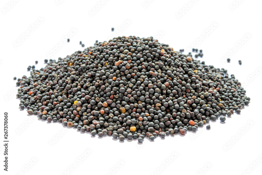 Dried canola seeds isolated on white. Bunch of rape seeds on a white background. Rapeseed (canola) seeds. Close-up. Collected rapeseed seeds isolated on white background. Side view. Dried canola seeds isolated on white. Bunch of rape seeds on a white background. Rapeseed (canola) seeds. Close-up. Collected rapeseed seeds isolated on white background. Side view.