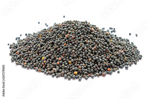 Dried canola seeds isolated on white. Bunch of rape seeds on a white background. Rapeseed  canola  seeds. Close-up. Collected rapeseed seeds isolated on white background. Side view. 