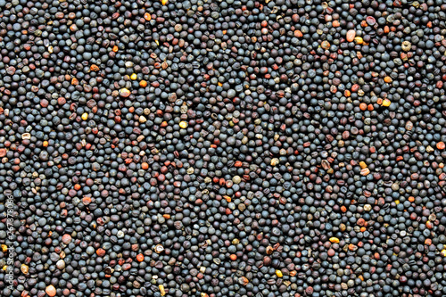 Fotografija Canola seeds, rapeseed texture