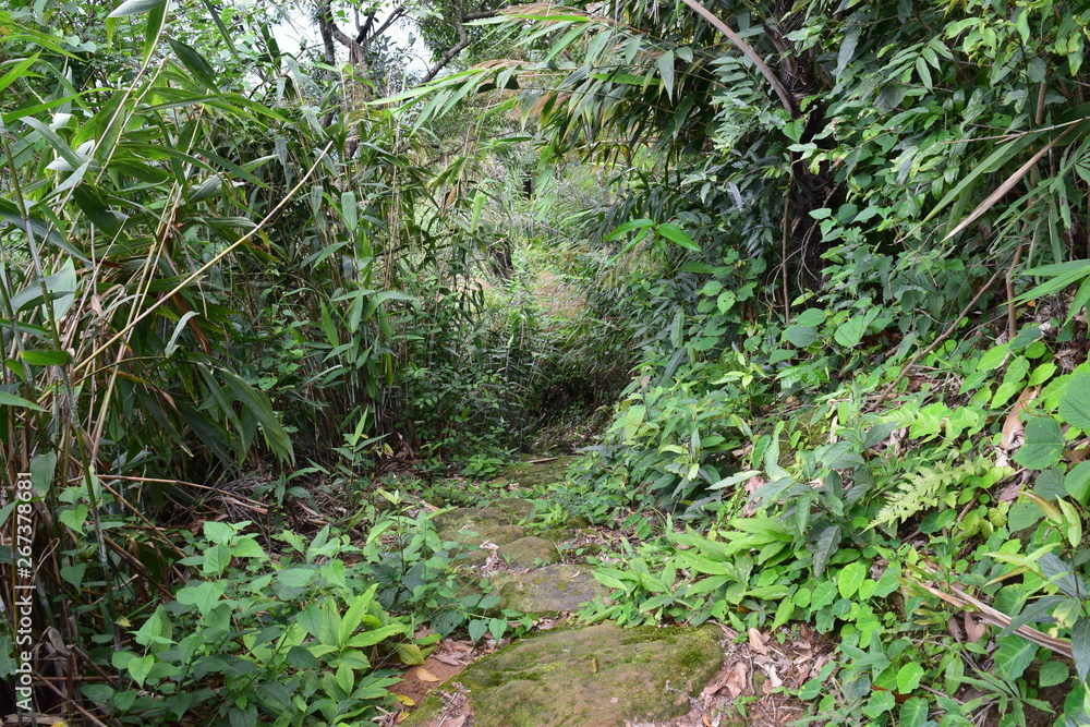 Obraz premium Cherrapunji