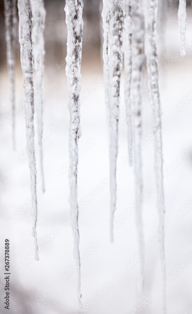 Long thin icicles. Close-up Long thin icicles. Close-up