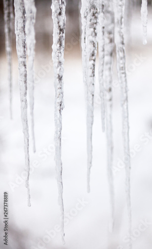 Long thin icicles. Close-up © rootstocks