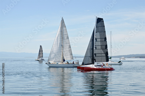 catamaran and yachts are sailing in the bay