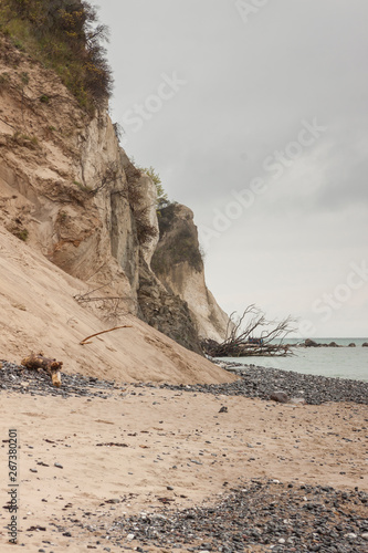 Mon, Denmark - white cliffs