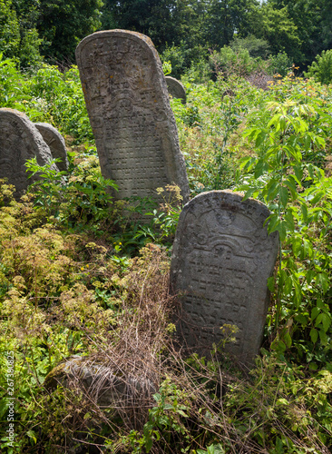 Abandoned Jewish cemetery in the Carpathians photo