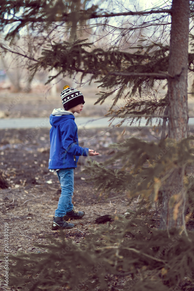 Little boy looking for a squirrel among brown trees Little boy looking for a squirrel among brown trees