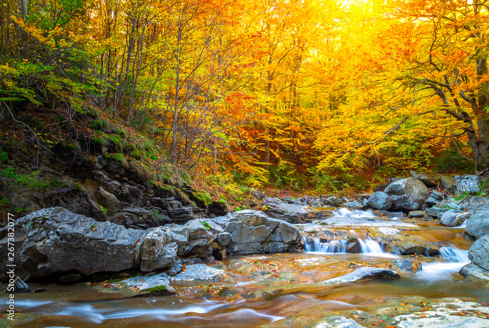 River on autum forest. Beautiful autumn foliage, waterfalls and mountain stream in the forest River on autum forest. Beautiful autumn foliage, waterfalls and mountain stream in the forest