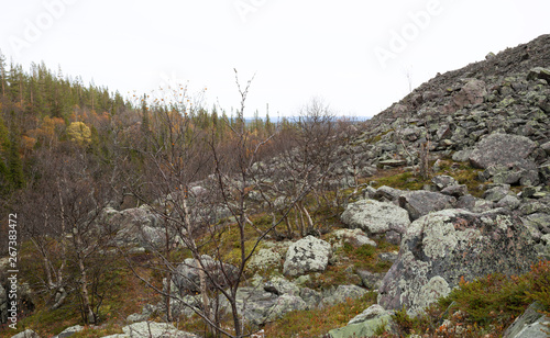 Mounitain in a national park in sweden photographed in late autumn