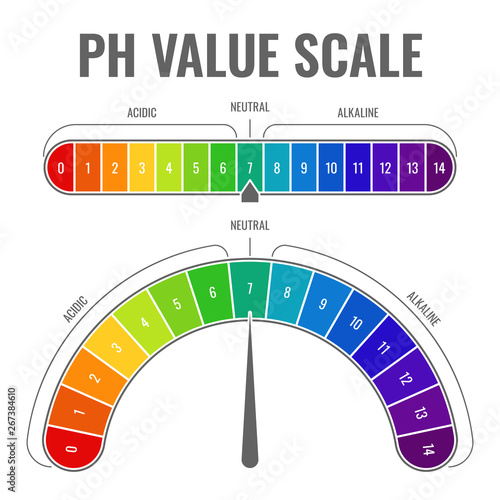 Ph alkaline acidic scale. Indicator water balance diet laboratory test acid neutral alkali measurable scales color paper vector chart