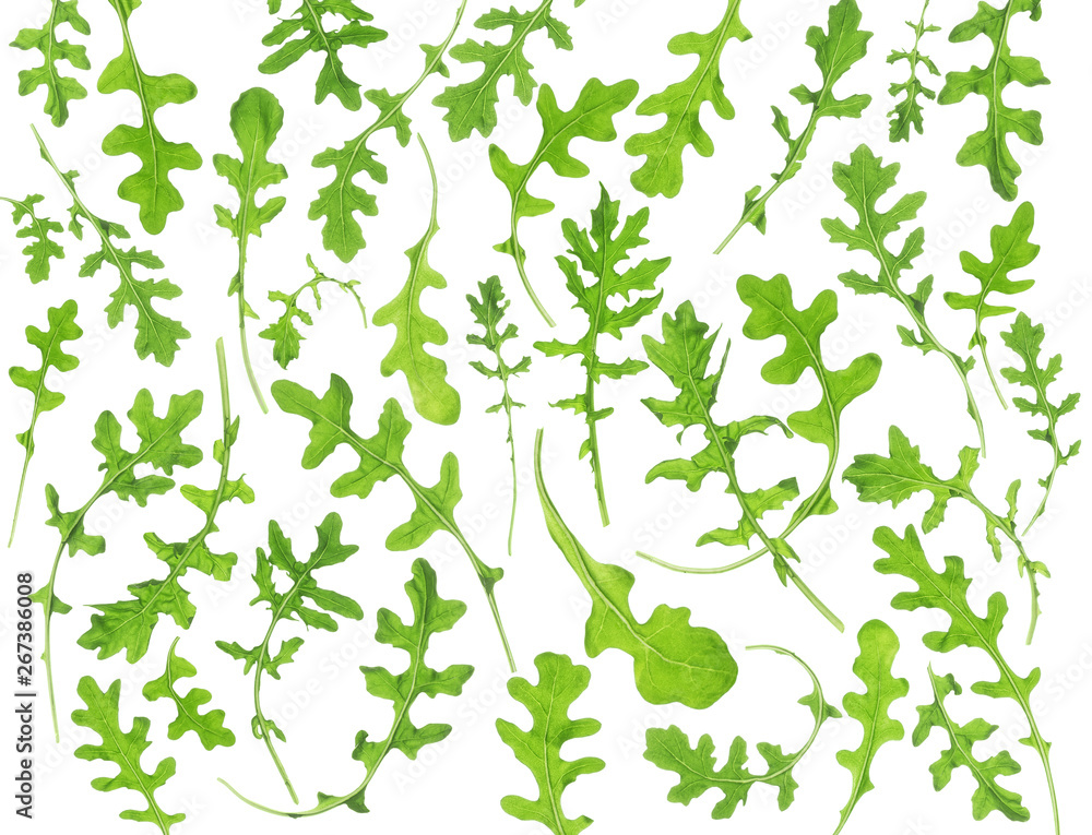 Obraz premium Collection of arugula on an isolated white background