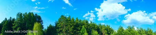 Fototapeta Naklejka Na Ścianę i Meble -  panoramic view forest and blue sky